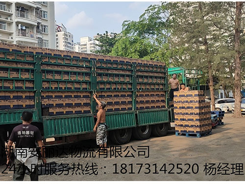 &#31859;&#20848;&#32593;&#39029;&#29256;&#45;&#31859;&#20848;&#40;&#20013;&#22269;&#41;